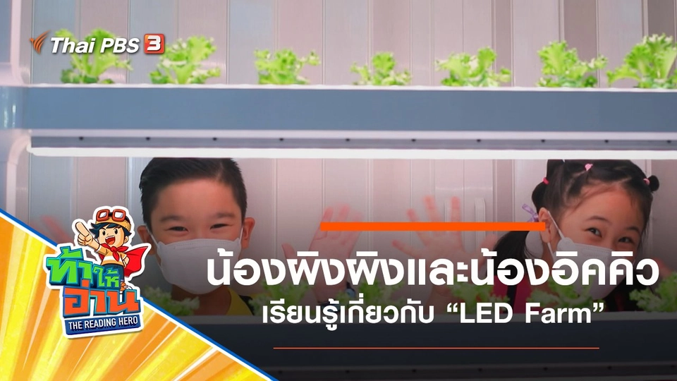 LED Farm : น้องผิงผิงและน้องอิคคิว