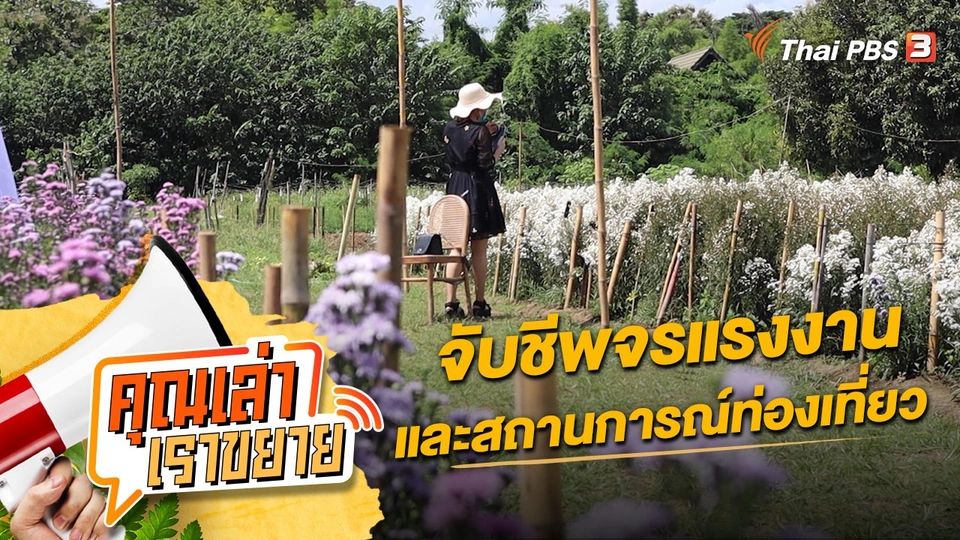 จับชีพจรแรงงานและสถานการณ์ท่องเที่ยว