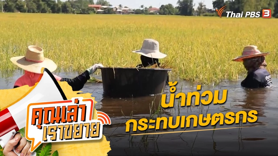 น้ำท่วมกระทบเกษตรกร