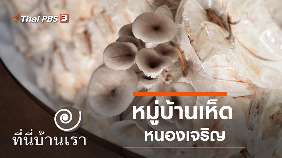 หมู่บ้านเห็ดหนองเจริญ