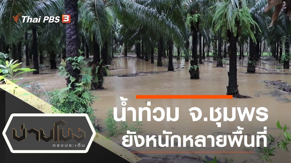 ประเด็นข่าว (16 พ.ย. 64)