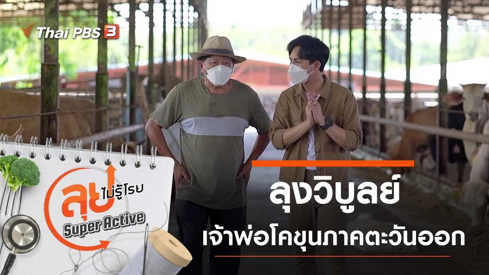 ลุงวิบูลย์ เจ้าพ่อโคขุนแห่งภาคตะวันออก