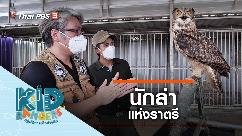 นักล่าแห่งราตรี