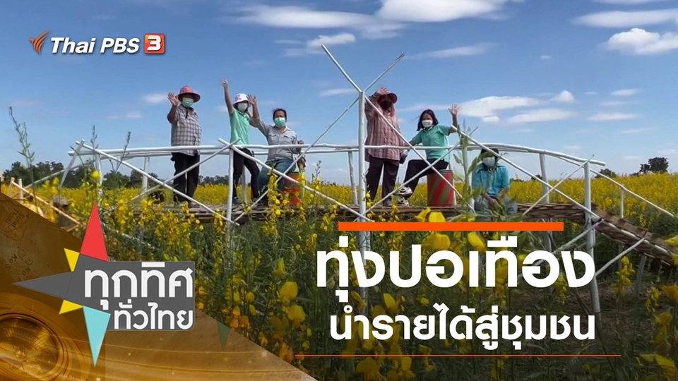 ทุ่งปอเทืองนำรายได้สู่ชุมชน