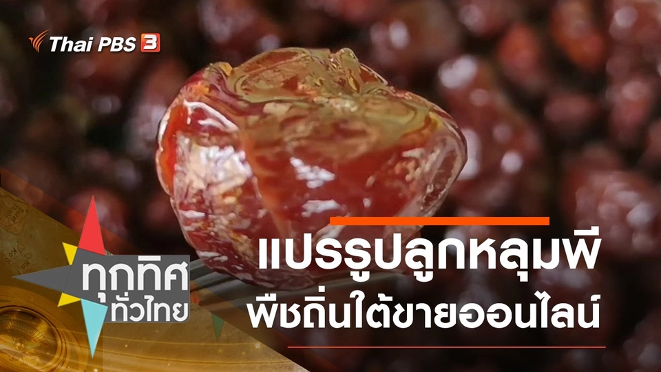 แปรรูปลูกหลุมพีพืชถิ่นใต้ขายออนไลน์