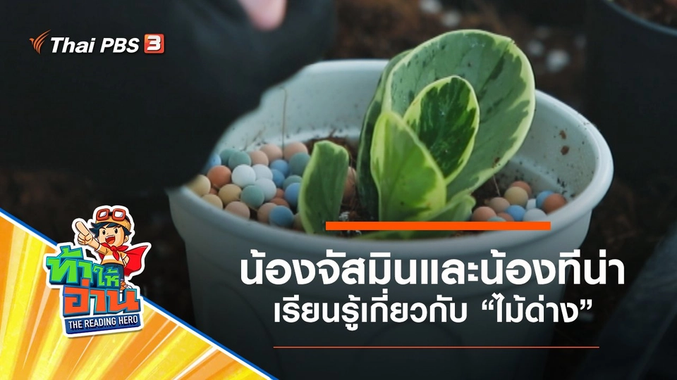 ไม้ด่าง : น้องจัสมินและน้องทีน่า