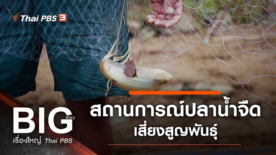 สถานการณ์ปลาน้ำจืดเสี่ยงสูญพันธุ์