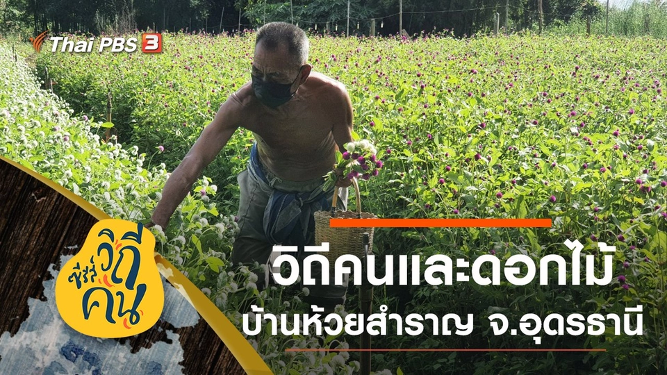 วิถีคนและดอกไม้ บ้านห้วยสำราญ ต.หนองไฮ อ.เมือง จ.อุดรธานี