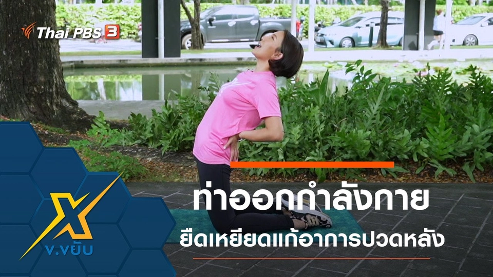 ท่าออกกำลังกายยืดเหยียดแก้อาการปวดหลัง