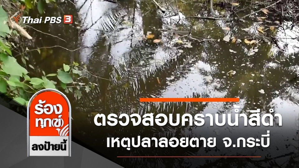 ตรวจสอบคราบน้ำสีดำ เหตุปลาลอยตาย จ.กระบี่