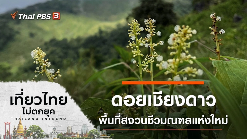 ดอยเชียงดาว พื้นที่สงวนชีวมณฑลแห่งใหม่ของโลก จังหวัดเชียงใหม่