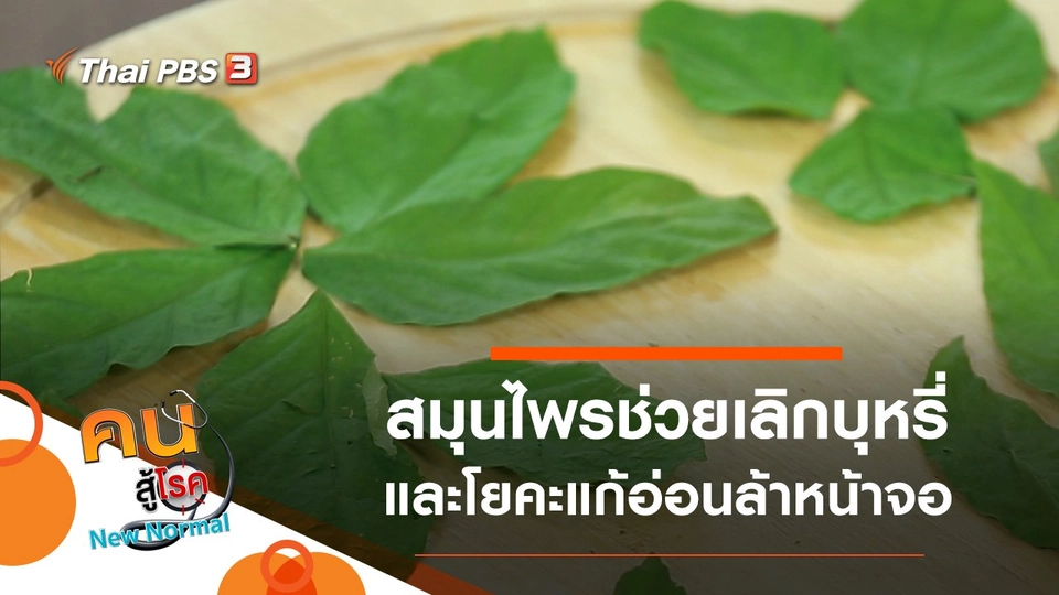 สมุนไพรช่วยเลิกบุหรี่, โยคะแก้อ่อนล้าหน้าจอ