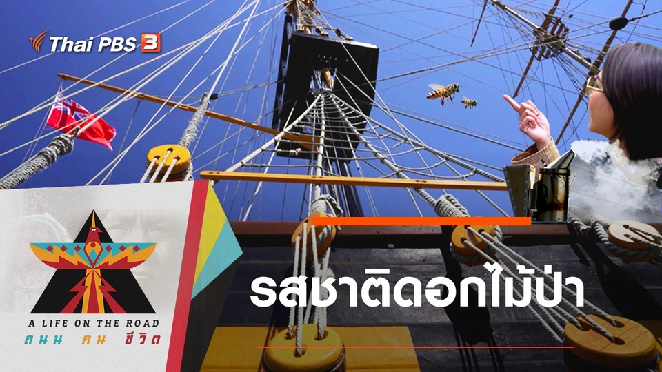 รสชาติดอกไม้ป่า