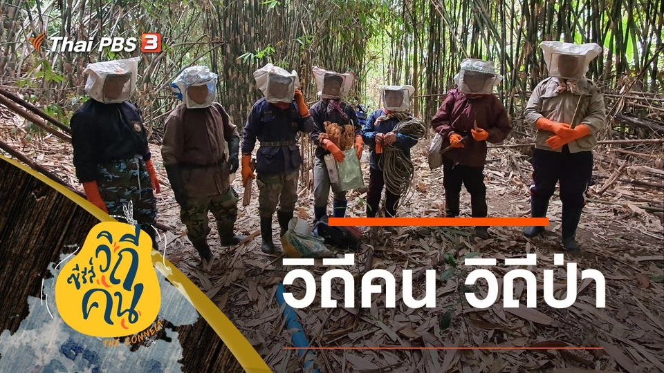 วิถีคน วิถีป่า