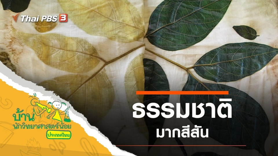 ธรรมชาติมากสีสัน