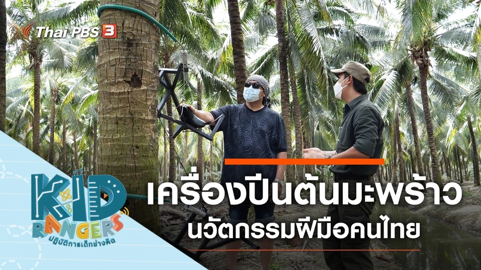 ​เครื่องปีนต้นมะพร้าว