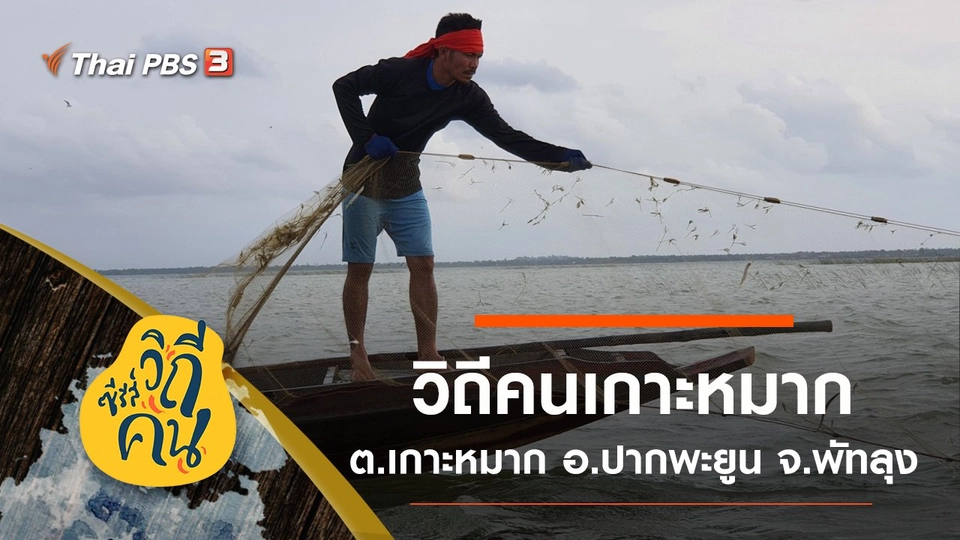 วิถีคนเกาะหมาก ต.เกาะหมาก อ.ปากพะยูน จ.พัทลุง