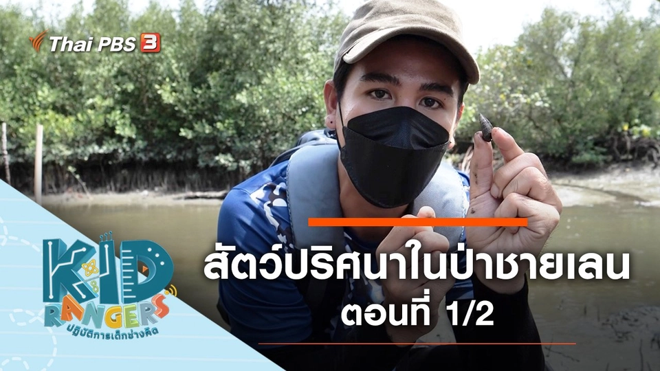 สัตว์ปริศนาในป่าชายเลน : ตอนที่ 1/2