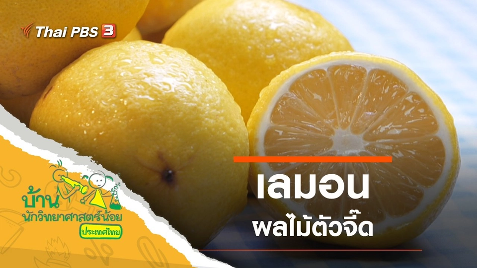 ผลไม้ตัวจี๊ด