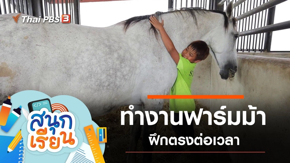 ทำงานฟาร์มม้า ฝึกตรงต่อเวลา