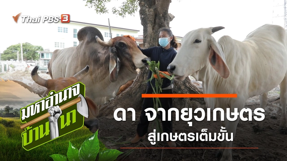 ดา จากยุวเกษตร สู่เกษตรเต็มขั้น