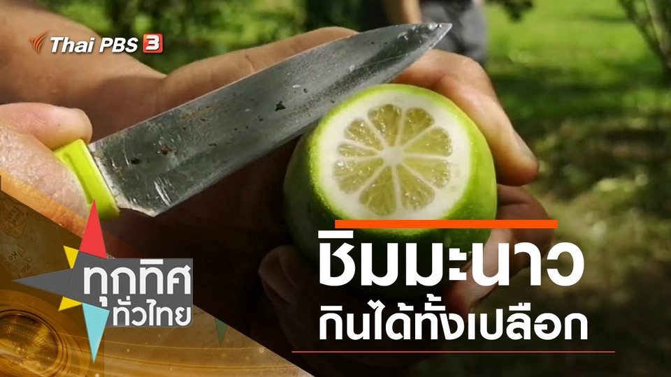 ชิมมะนาวกินได้ทั้งเปลือก