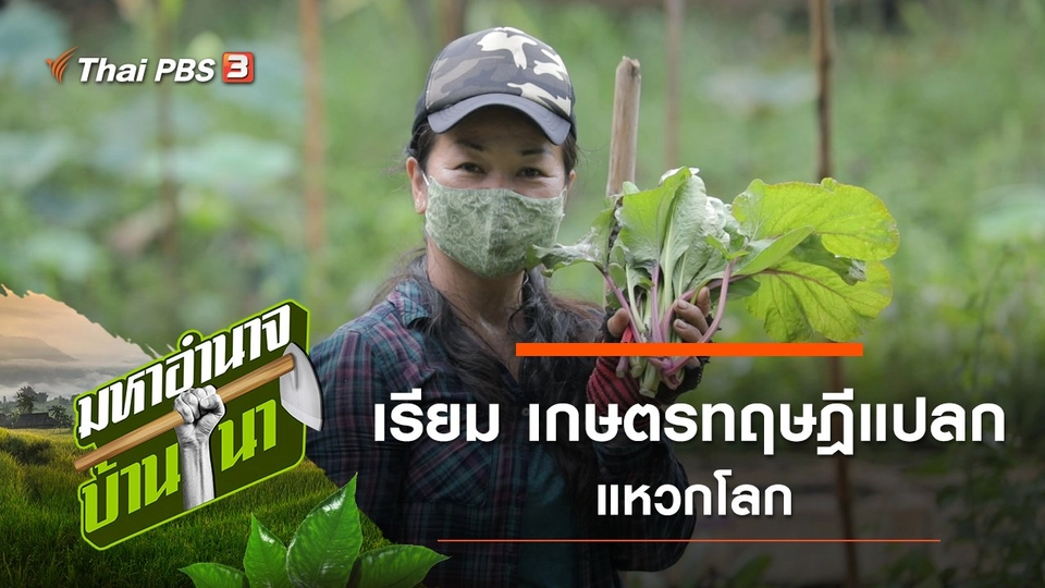 เรียม เกษตรทฤษฎีแปลกแหวกโลก