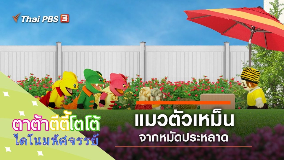 แมวตัวเหม็น