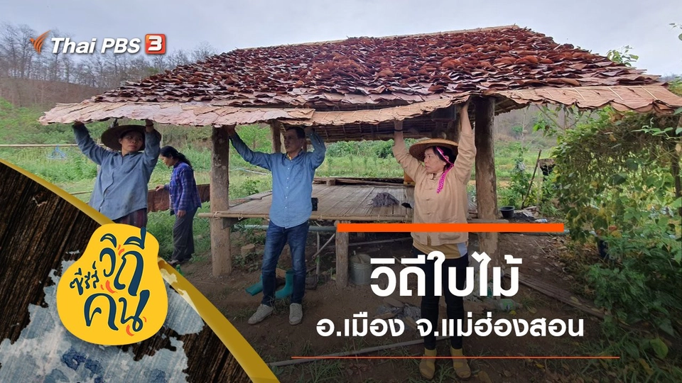 วิถีใบไม้ อ.เมือง จ.แม่ฮ่องสอน