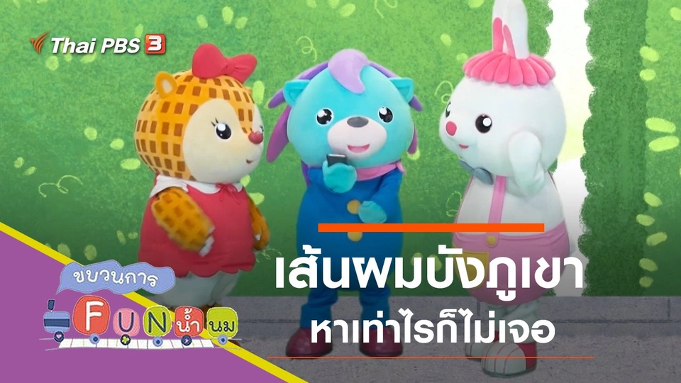 เส้นผมบังภูเขา