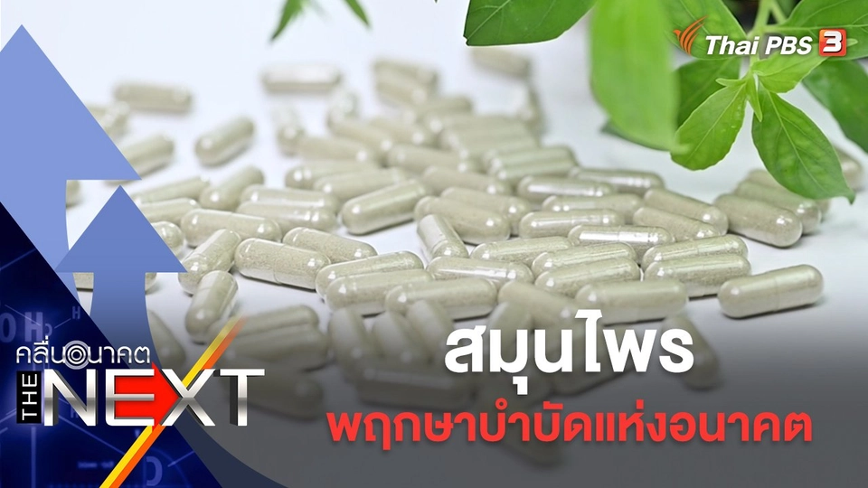 สมุนไพร พฤกษาบำบัดแห่งอนาคต