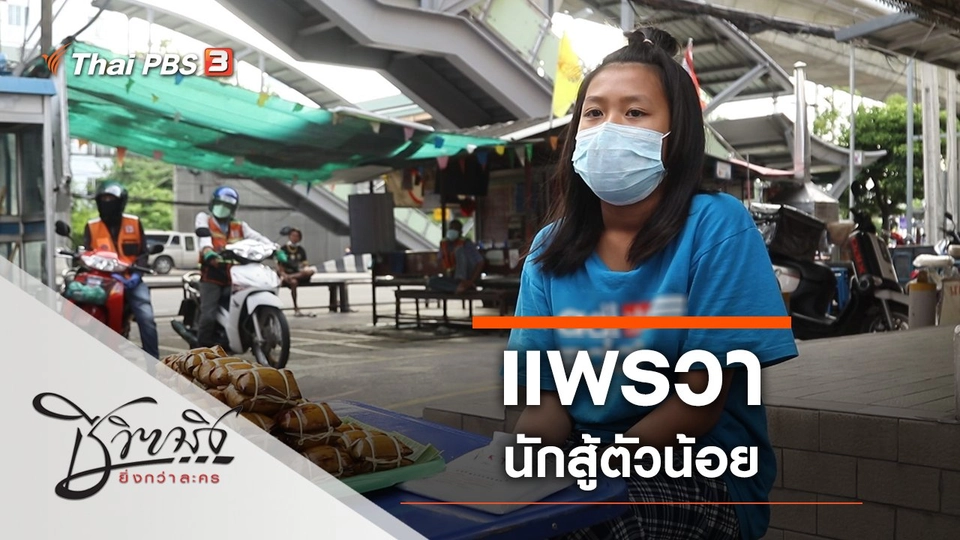 แพรวานักสู้ตัวน้อย