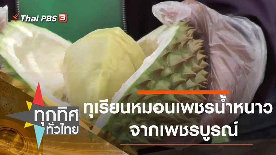 ทุเรียนหมอนเพชรน้ำหนาว จากเพชรบูรณ์