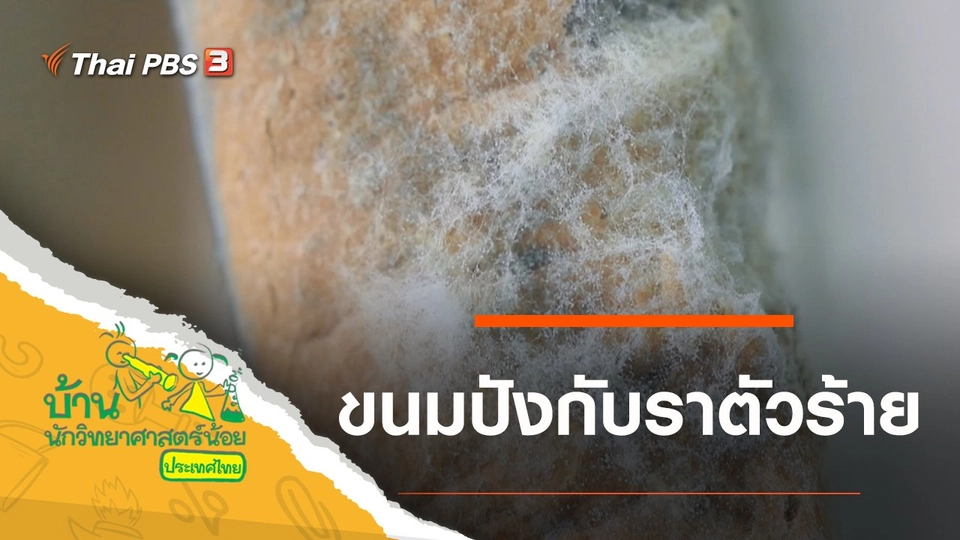 ขนมปังกับราตัวร้าย