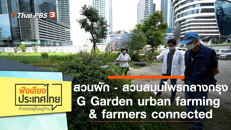 สวนผัก - สวนสมุนไพรกลางกรุง G Garden urban farming & farmers connected