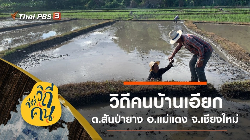 วิถีคนบ้านเอียก ต.สันป่ายาง อ.แม่แตง จ.เชียงใหม่