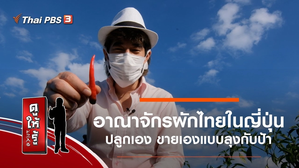 อาณาจักรผักไทยในญี่ปุ่น ปลูกเอง ขายเองแบบลุงกับป้า