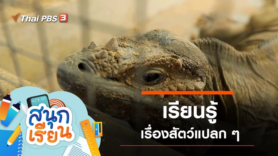 เรียนรู้เรื่องสัตว์แปลก ๆ