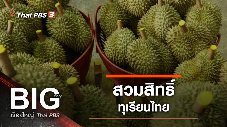 สวมสิทธิ์ทุเรียนไทย