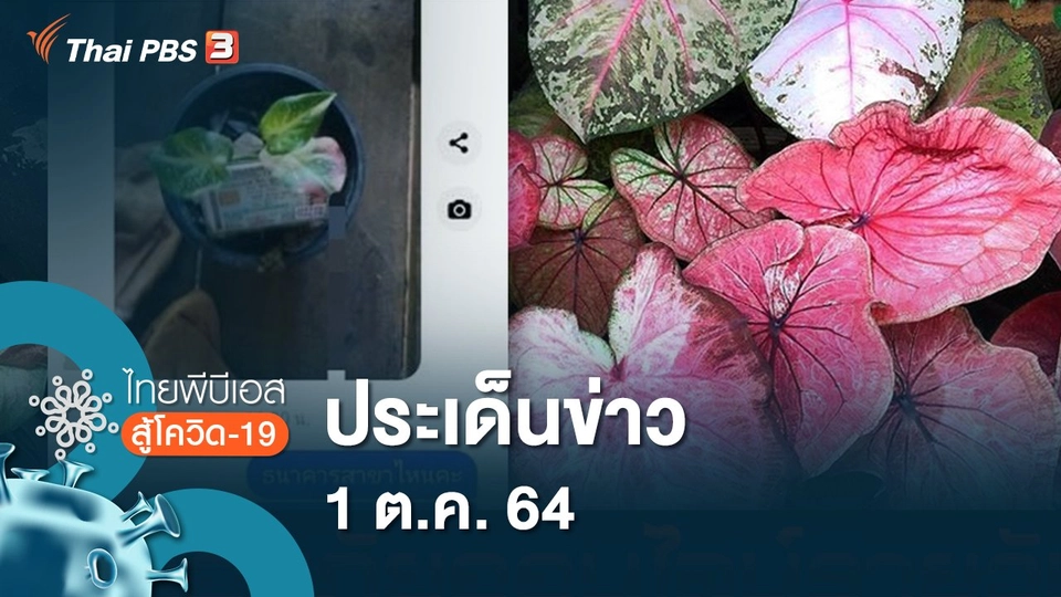 ประเด็นข่าว (1 ต.ค. 64)