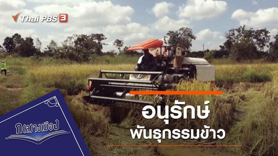 ข้าวอีสาน : อนุรักษ์พันธุกรรมข้าว