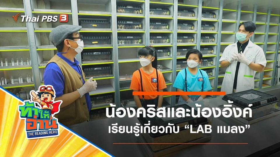 LAB แมลง : น้องคริสและน้องอิ้งค์