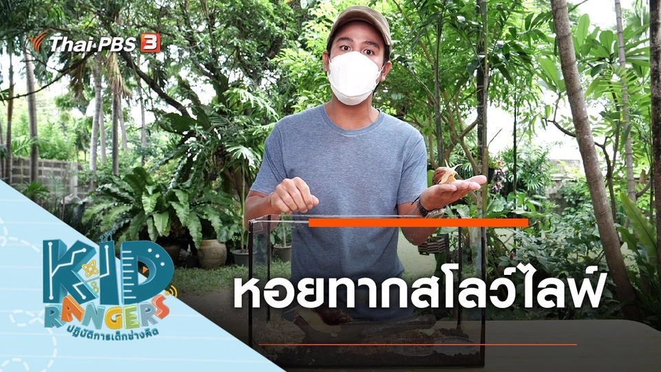 หอยทากสโลว์ไลฟ์