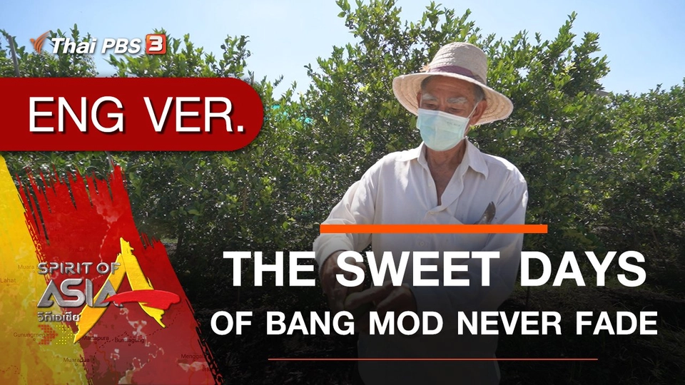 THE SWEET DAYS OF BANG MOD NEVER FADE