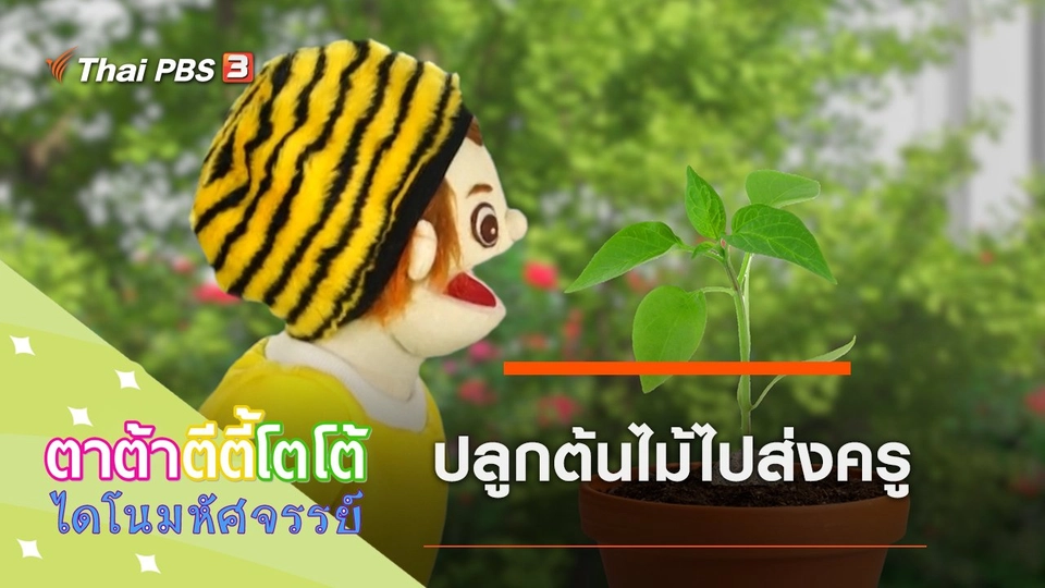 ปลูกต้นไม้ไปส่งครู