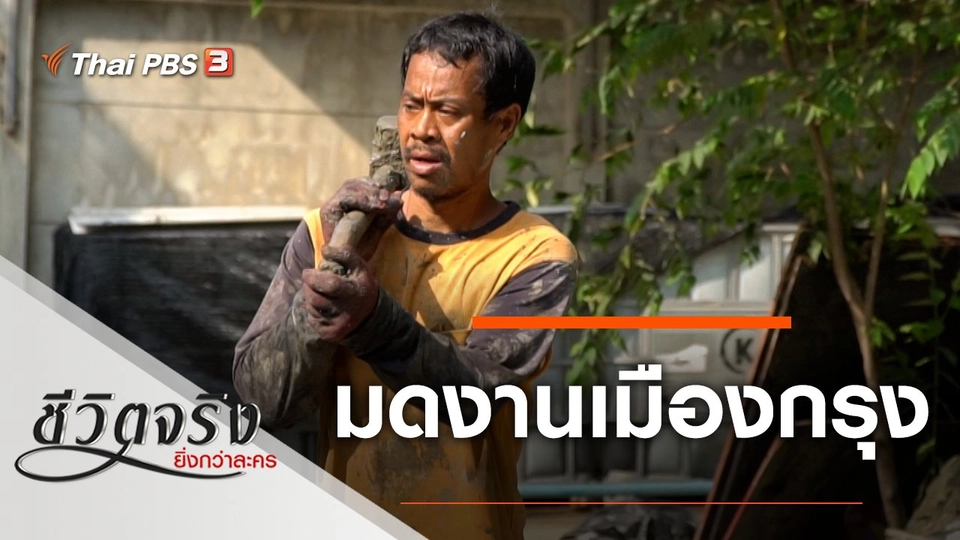 มดงานเมืองกรุง