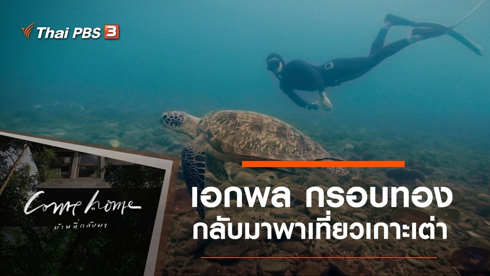 เอกพล กรอบทอง : กลับมาพาเที่ยวเกาะเต่า