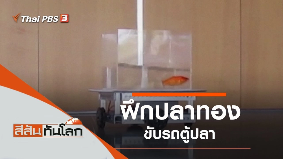 ประเด็นข่าว (8 ม.ค. 65)