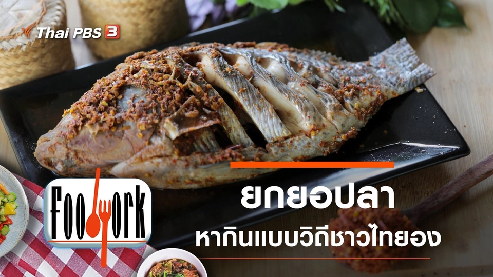 ยกยอปลา หากินแบบวิถีชาวไทยอง