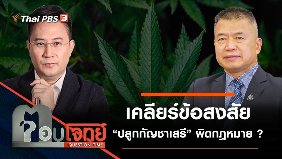 เคลียร์ข้อสงสัย “ปลูกกัญชาเสรี” ผิดกฎหมาย ?